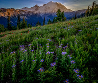 CH220807_Mt.Rainier_43-HDR-Edit