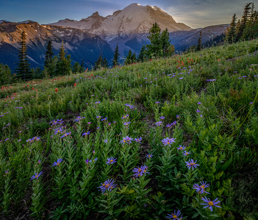 CH220807_Mt.Rainier_43-HDR-Edit
