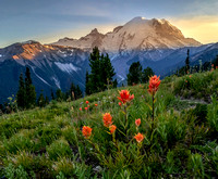 CH220807_Mt.Rainier_56-HDR-Edit
