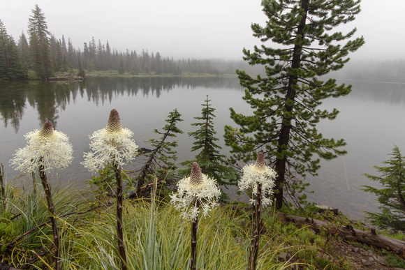 CH130627_SantiamLake_006