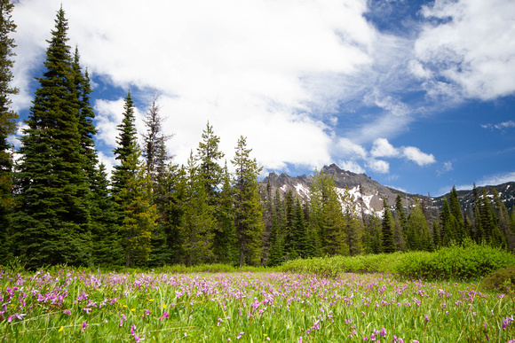 CH130627_SantiamLake_216