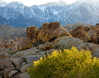 CH110429_AlabamaHills--0041