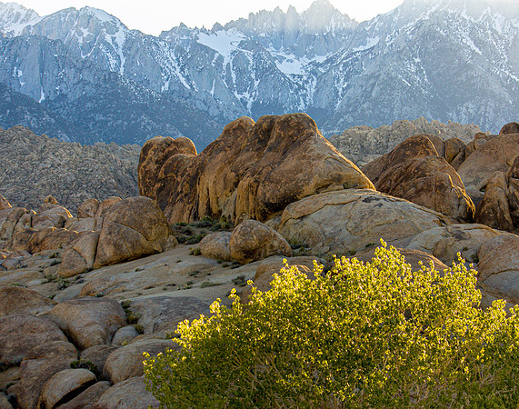 CH110429_AlabamaHills--0041
