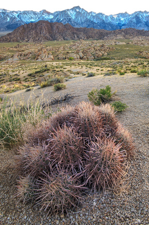 CH110429_AlabamaHills--0073