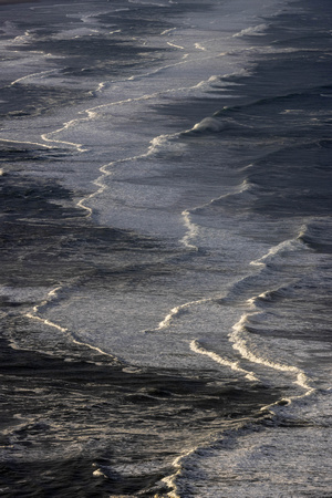CH250416_Manzanita-053