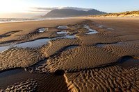 CH250724_Manzanita-003
