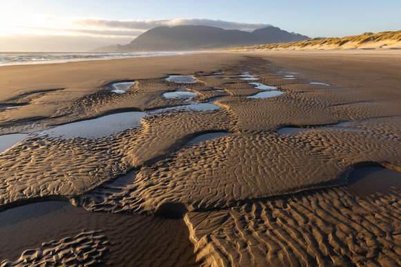 CH250724_Manzanita-003