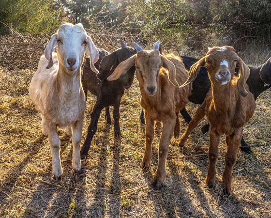 CH250919_OregonHorseCenter-020-Edit