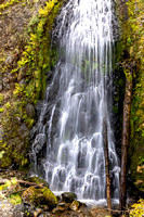 CH251008_ElowahFalls-McCordCreek-060
