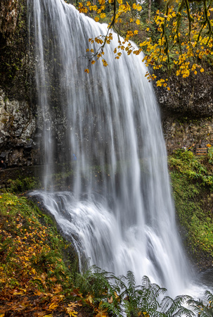CH251026_SilverFalls-091