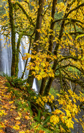 CH251026_SilverFalls-095