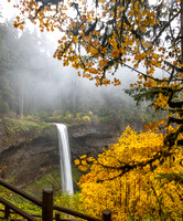 CH251026_SilverFalls-108