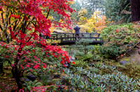 CH251107_JapaneseGarden-029