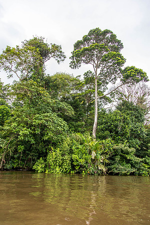 CH260206_CostaRica-Tortuguera-127