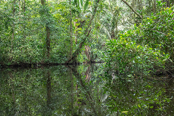 CH260206_CostaRica-Tortuguera-133