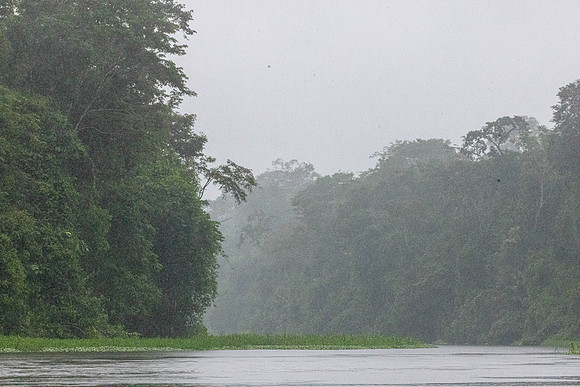 CH260206_CostaRica-Tortuguera-386
