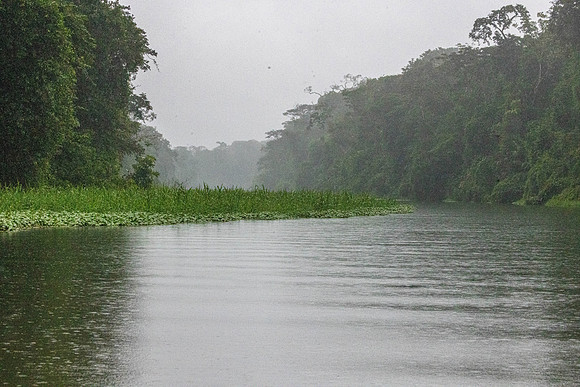 CH260206_CostaRica-Tortuguera-402
