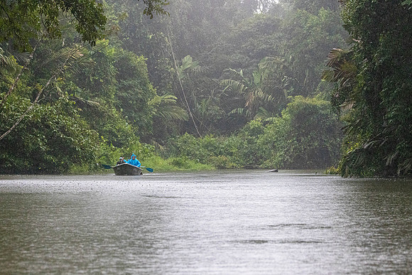 CH260206_CostaRica-Tortuguera-407