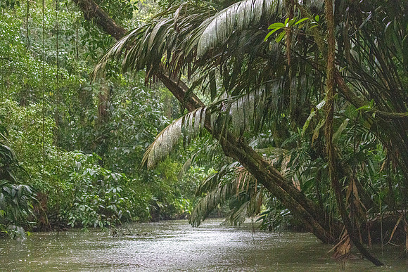 CH260206_CostaRica-Tortuguera-417