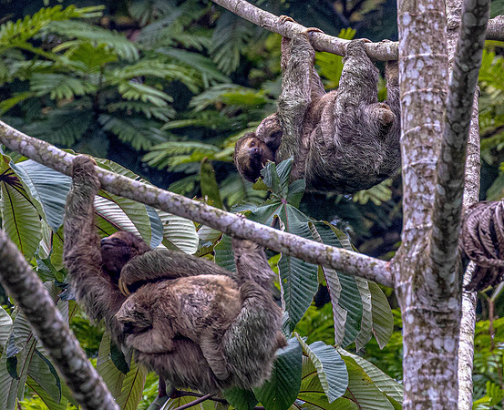 CH260207_CostaRica-Tortuguera-408-Edit