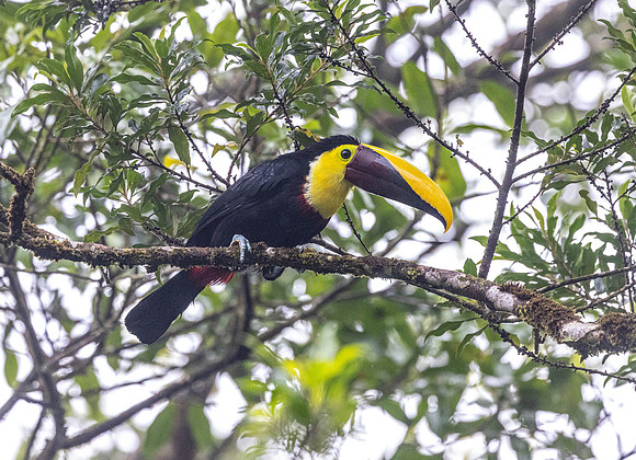 CH260210_CostaRica-LaFortuna-047