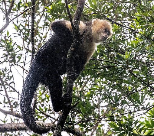 CH260210_CostaRica-LaFortuna-065