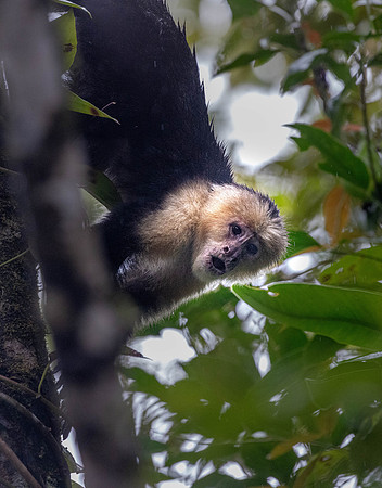 CH260210_CostaRica-LaFortuna-070