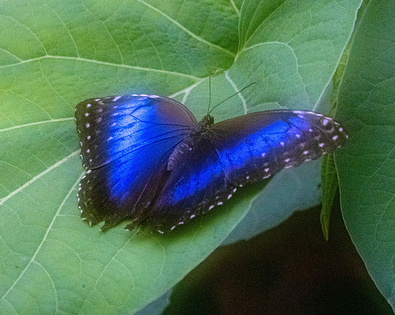 CH260211_CostaRica-CantoDelRio-036