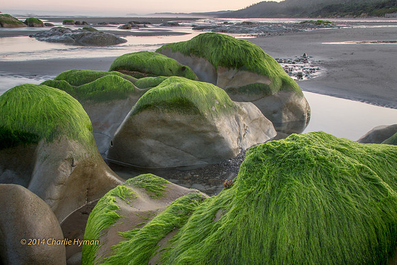 CH140726_OlympicPeninsula_RubyBeach_182