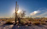 CH250325_BouseHorseCamp-006