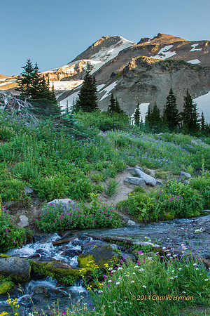 CH130814_MtHood-ElkCove_037