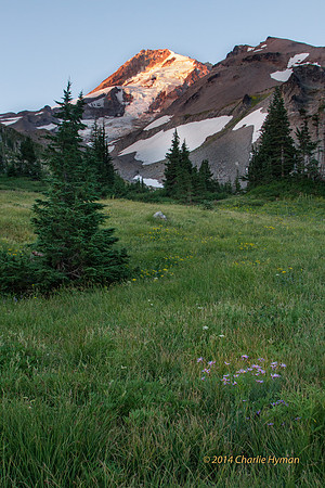 CH130814_MtHood-ElkCove_100