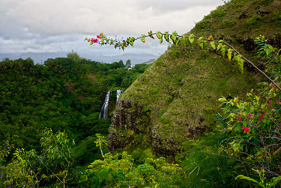 CH111219_Hawaii2011_Day2_13 as Smart Object-1