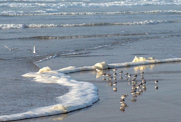 CH161229_TillicumBeach_012