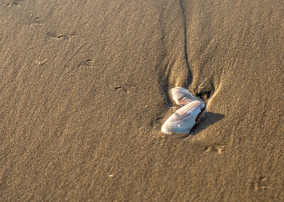 CH161229_TillicumBeach_013