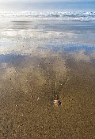 CH161229_TillicumBeach_019