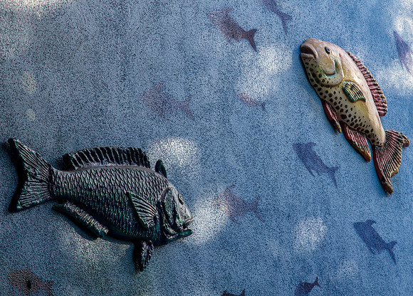 CH130324_Cabo_0082