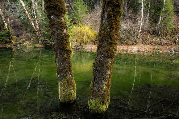 CH140323_BelknapHotSprings_019