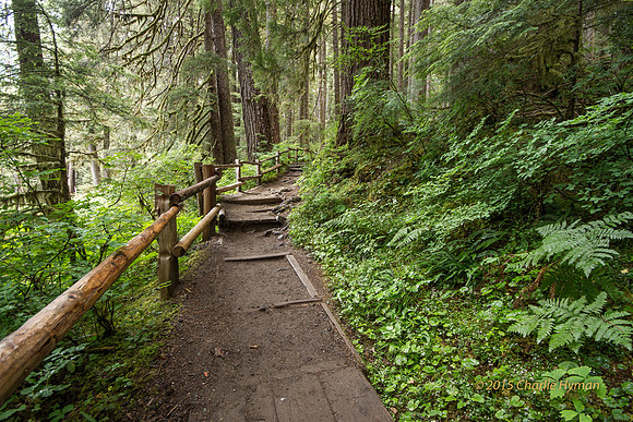 CH140723_OlympicPeninsula_SolDucFalls_066