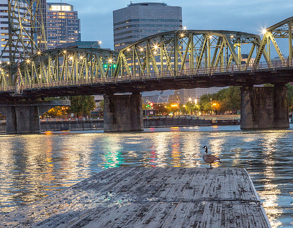 CH170520_PDXsquared_215
