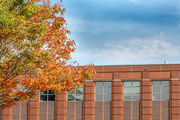 CH160929_FallColors_036