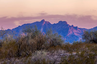 CH250325_BouseHorseCamp-037