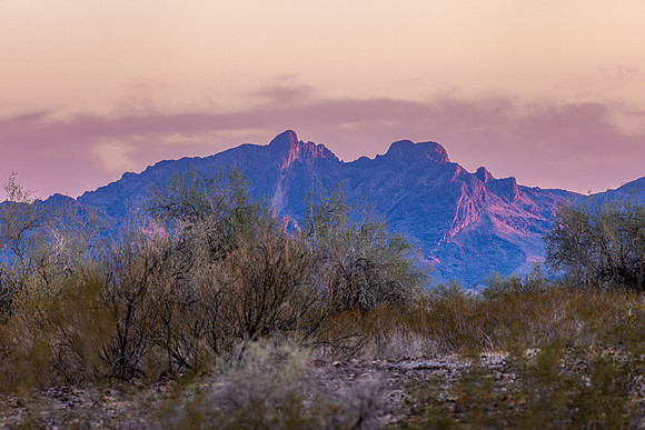 CH250325_BouseHorseCamp-037