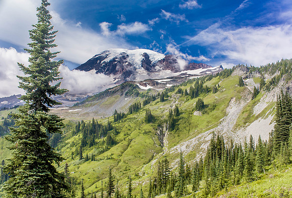 Mt. Rainier from Paradise Park