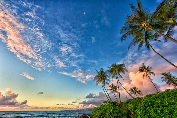 CH111218_Hawaii2011_Day1_80 as Smart Object-1