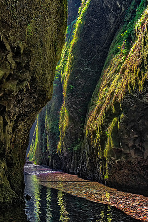 Oneonta Gorge