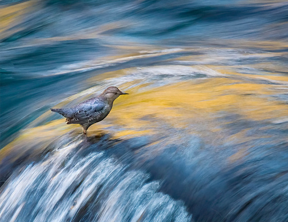 CH140323_BelknapHotSprings_141-Edit