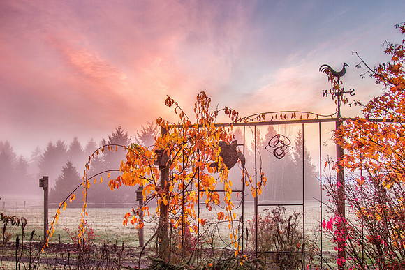 CH141108_MalloyWayFallColors_001-Edit