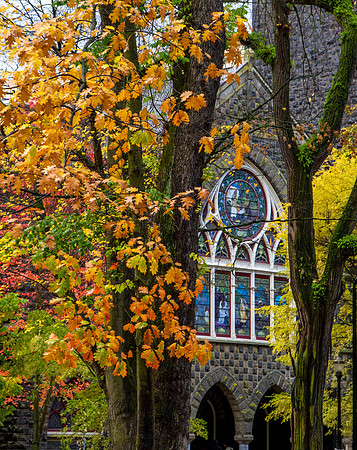 CH151115_PortlandArtMuseum_004
