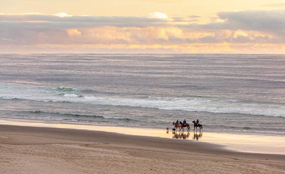 CH180802_Manzanita_049